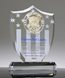 Picture of Distinguished Legacy Crystal Shield Award