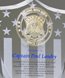 Picture of Distinguished Legacy Crystal Shield Award