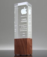 Picture of Mixed Media Trophy