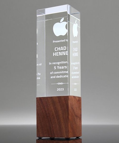 Picture of Mixed Media Trophy