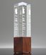 Picture of Mixed Media Trophy