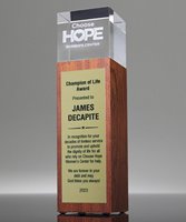 Picture of Pillar Fusion Award - Gold Plate