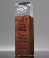 Picture of Pillar Fusion Award