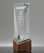 Picture of Crystal Top Performers Award