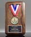 Picture of Medallion Award Plaque