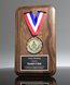 Picture of Medallion Award Plaque