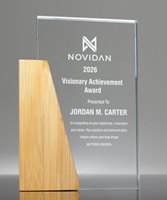 Picture of Element Block Crystal Award