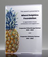Picture of Subsurface Printed Acrylic Plaque