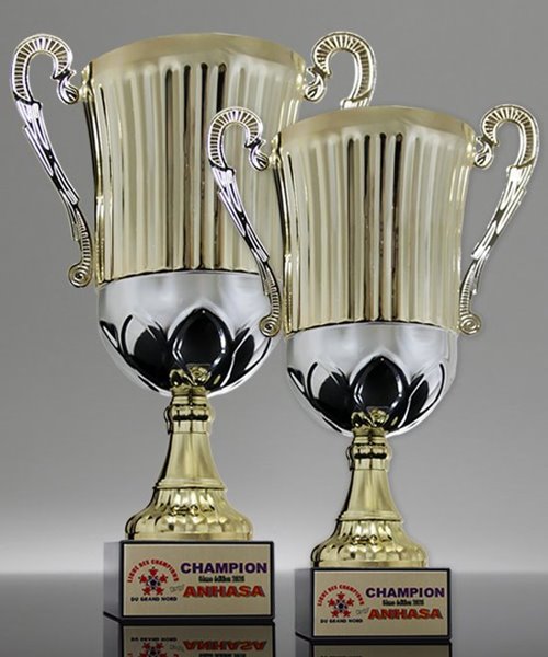 Picture of Stratos Two-Tone Metal Trophy Cup