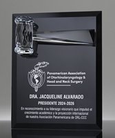 Picture of Crystal Gavel Plaque Award