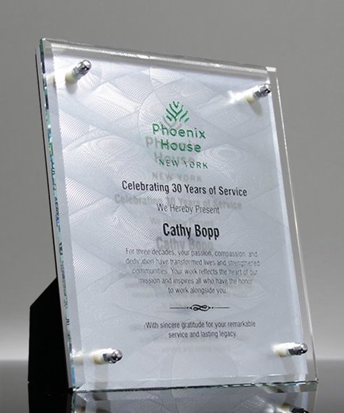 Picture of Employee Spotlight Silver Award Plaque