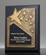 Picture of Recognition Star Gold Matte-Black Plaque