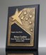 Picture of Recognition Star Gold Matte-Black Plaque