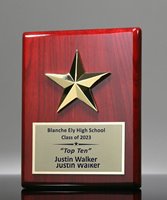 Picture of Rock Star Plaque