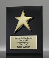 Picture of Star Employee Award Plaque