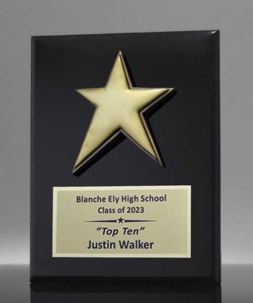Picture of Star Employee Award Plaque