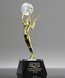 Picture of Golden Pinnacle Globe Award