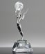Picture of Sterling Pinnacle Globe Award