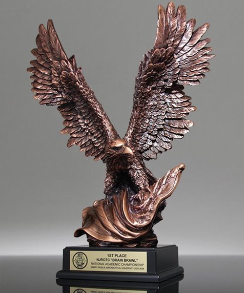 Picture of Eagle on Flag Award