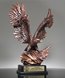 Picture of Eagle on Flag Award