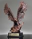 Picture of Eagle on Flag Award