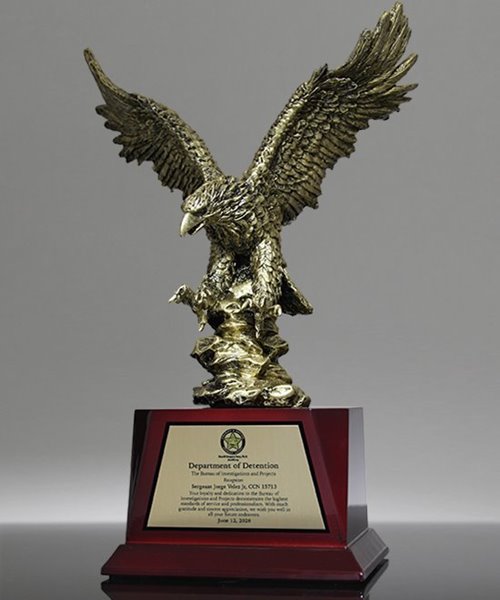 Picture of Eros Flight Eagle Trophy