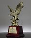 Picture of Eros Flight Eagle Trophy