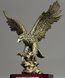 Picture of Eros Flight Eagle Trophy