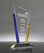 Picture of Business Recognition Award