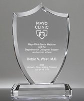 Picture of Distinction Crystal Shield Award