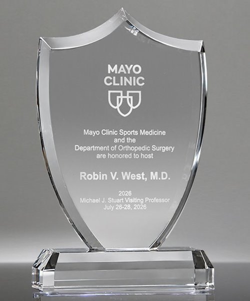 Picture of Distinction Crystal Shield Award
