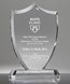 Picture of Distinction Crystal Shield Award