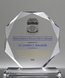 Picture of Excellence in Policing Octagon Award