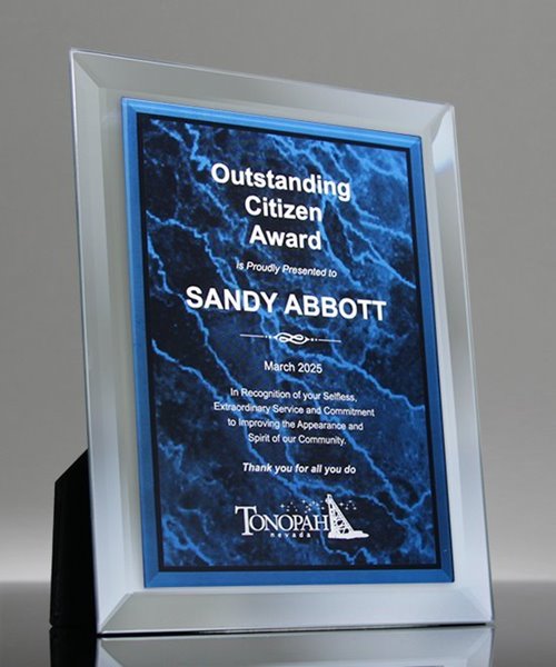 Picture of Synthesis Award Plaque - Blue Marble