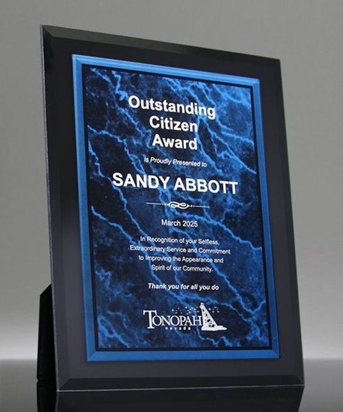 Picture of Fusion Award Plaque - Blue Marble