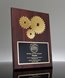 Picture of Golden Gears Award Plaque