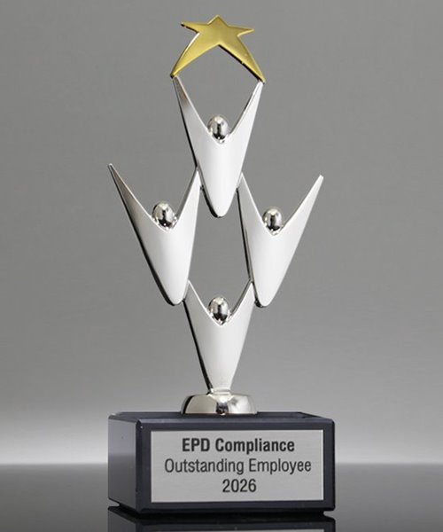 Picture of Team Victory Two-Tone Star Award