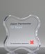 Picture of Bespoke Acrylic Paperweight