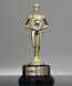Picture of Classic Achiever Award