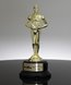 Picture of Classic Achiever Award