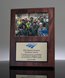Picture of Employee Award Photo Plaque