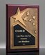 Picture of Ovation Gold Star Rosewood Plaque