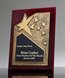 Picture of Ovation Gold Star Rosewood Plaque