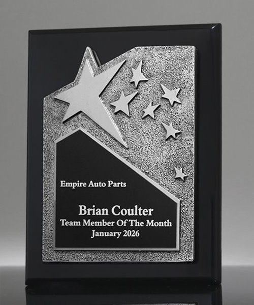 Picture of Ovation Silver Star Ebony Plaque
