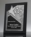Picture of Ovation Silver Star Ebony Plaque