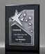 Picture of Ovation Silver Star Ebony Plaque