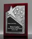 Picture of Ovation Silver Star Rosewood Plaque