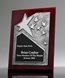 Picture of Ovation Silver Star Rosewood Plaque