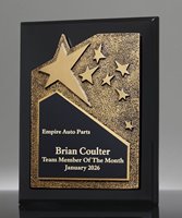 Picture of Ovation Gold Star Ebony Plaque
