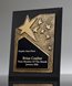 Picture of Ovation Gold Star Ebony Plaque